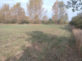Pozemek u jezera Pístník, přes 1,8 ha, blízko dálnice D8... - 4