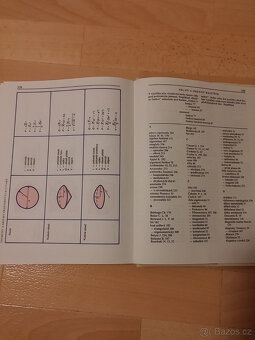 Matematika kolem nás - 4
