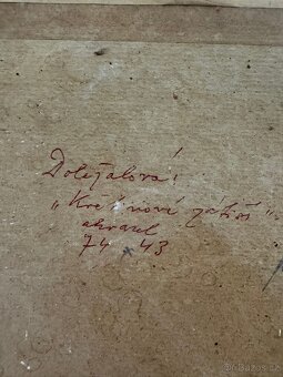 Obraz alvarel Doležalová - 4