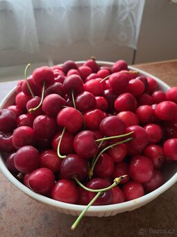Domácí Třešně 1kg - 4