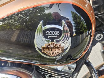 HARLEY DAVIDSON DYNA LOW RIDER 96CU Twin cam EDICE 105th - 4