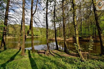 Prodej pozemku v Radvanicích s možností stavby rodinného dom - 4