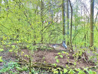 🌿 1803 m² za cenu jedné rodinné dovolené - 4