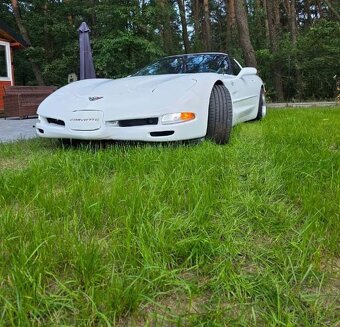 Chevrolet Corvette C5 TARGA 5.7 V8 - 4