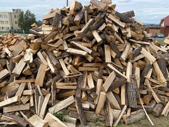 Palivové dřevo- 🔥Dubová suchá polínka🔥 - 4