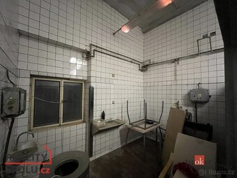Pronájem, komerční/výroba, 180 m2, Vojenice 8, 33808 Kladrub - 4