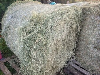 Seno kulaté balíky ze Šumavy - 4