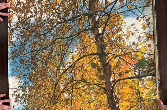 Obrazová tapeta Podzimní romance - 4