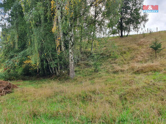Prodej ostatní, 802 m², Pila - 4