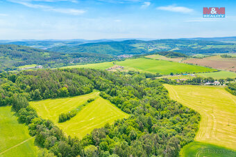 Prodej lesa, 2518 m², Chyňava - 4