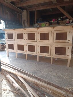 10.kotcová kralikarna - 4