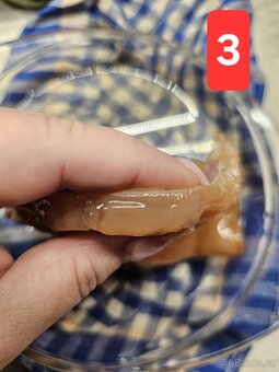 Kombucha - 4