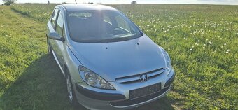 Peugeot 307 - 4