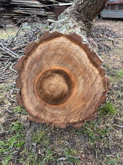 Dřevo z ořechu - 4