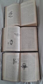 Domácí vševěd 3 knihy z roku 1925 - 4