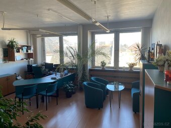 Obchodní a kancelářské prostory na náměstí v Bruntále - 4