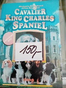 Špicové Stafordšírský bulteriér Kokršpaněl, kavalír King Cha - 4