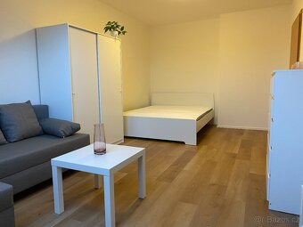 Pronájem bytu 1+1 36 m² - 4