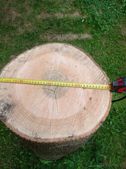 Štípací špalek jasanový - 4