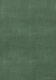 Nový zelený koberec - 240x340 - 4