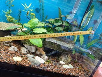 akvarium komplet - 4