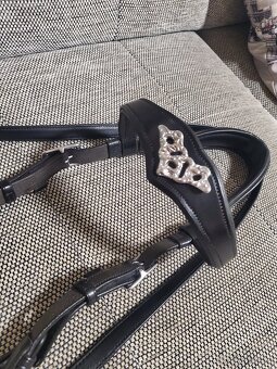 Hackamore - 4