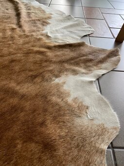 Pravá kůže z krávy - 4