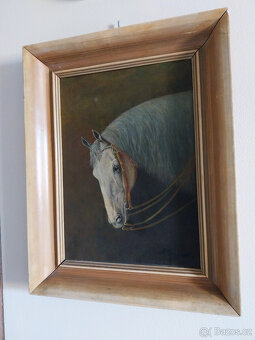 Olej na desce, hlava koně, 70tá léta - 4