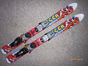 TIGER SNOW - 90cm - 4