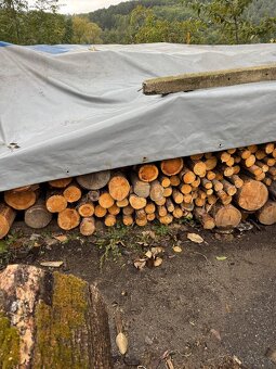 Palivové dřevo - 4