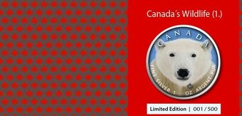 Kanada, 1 Oz 2019, Ag 999,9 Lední medvěd, raženo jen 500 ks - 4