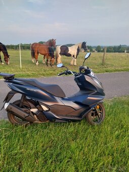 Honda PCX 125 - 4