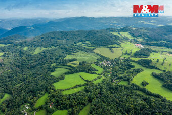 Prodej pastviny s lesním pozemkem 22.174 m² v Homoli u Panny - 4