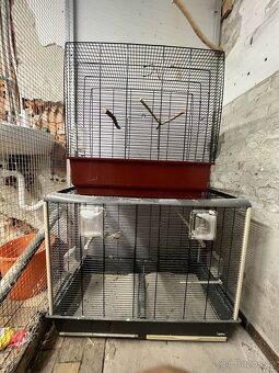 Klece pro papoušky - 4