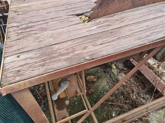 prodam cilguralku a michacku - 4