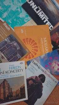 Větší množství LP Vinyl desek - různé , cca 100kusů - 4