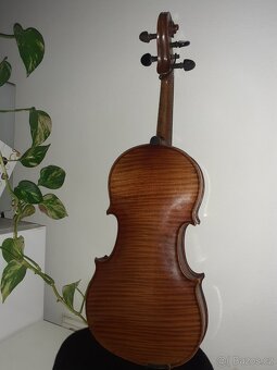 Housle celé - 4