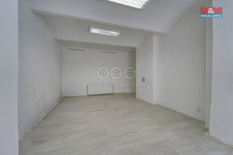 Pronájem bytu 3+kk, 167 m², Plzeň, ul. Palackého - 4
