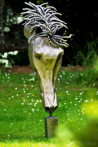 Hlava koně prodano - 4