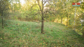Prodej pozemku k bydlení, 861 m2, Javorník - Bílý Potok - 4