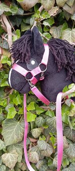 Hobby horse - 4