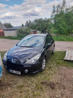 Peugeot 307 - 4