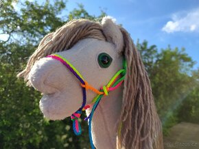 Hobby horse - 4