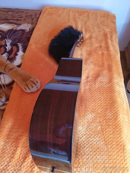 KYTARA YAMAHA DW 15 DREADNOUGHT CELOMASIV - 4