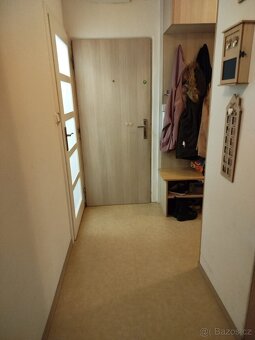 Pronajmu byt 2+1 po rekonstrukci Suché Vrbné - 4