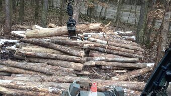 Palivové dřevo Třemošná - 4