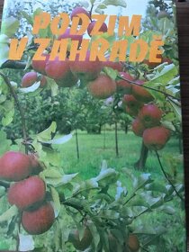 Jaro v zahradě - 4