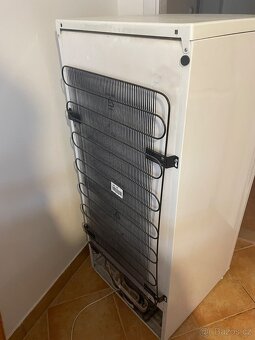 Lednice Zanussi 126 cm - 4