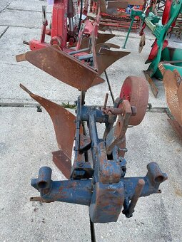 Pluh jednoradličný - 4