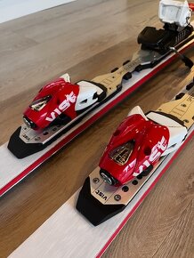 Sjezdové lež Carpathia 175 cm - 4